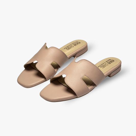 H-type Pink Slides